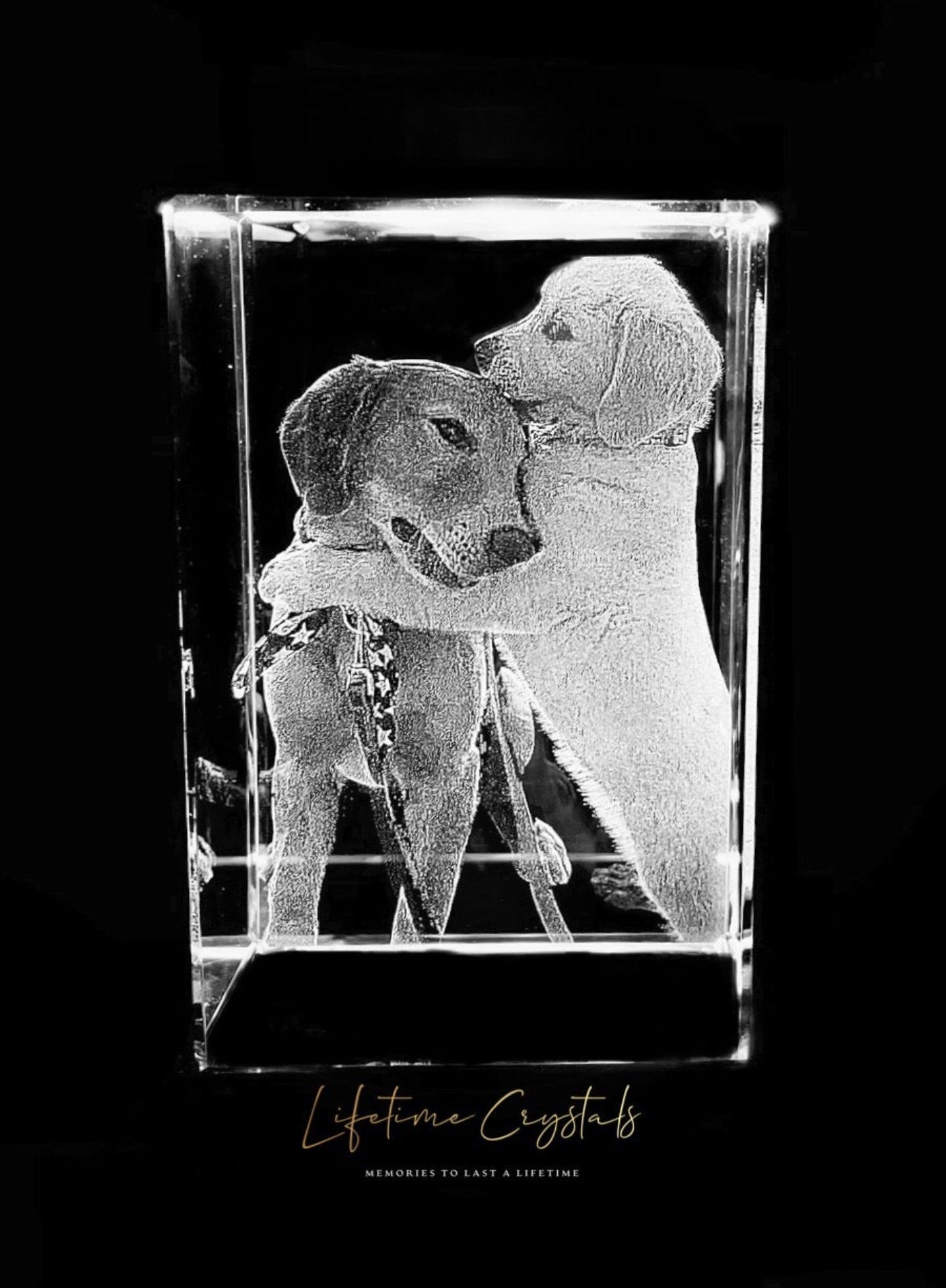 My Dog 3D Photo Tower Crystal Keepsake