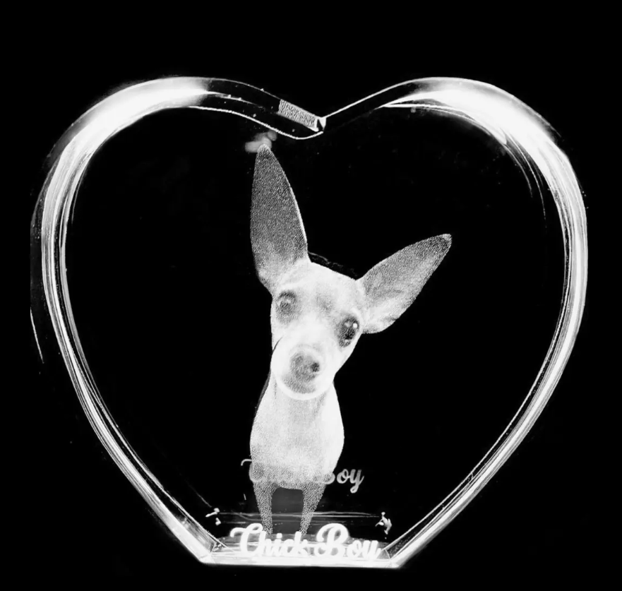 The Best Gifts For Dog Lovers In 2025