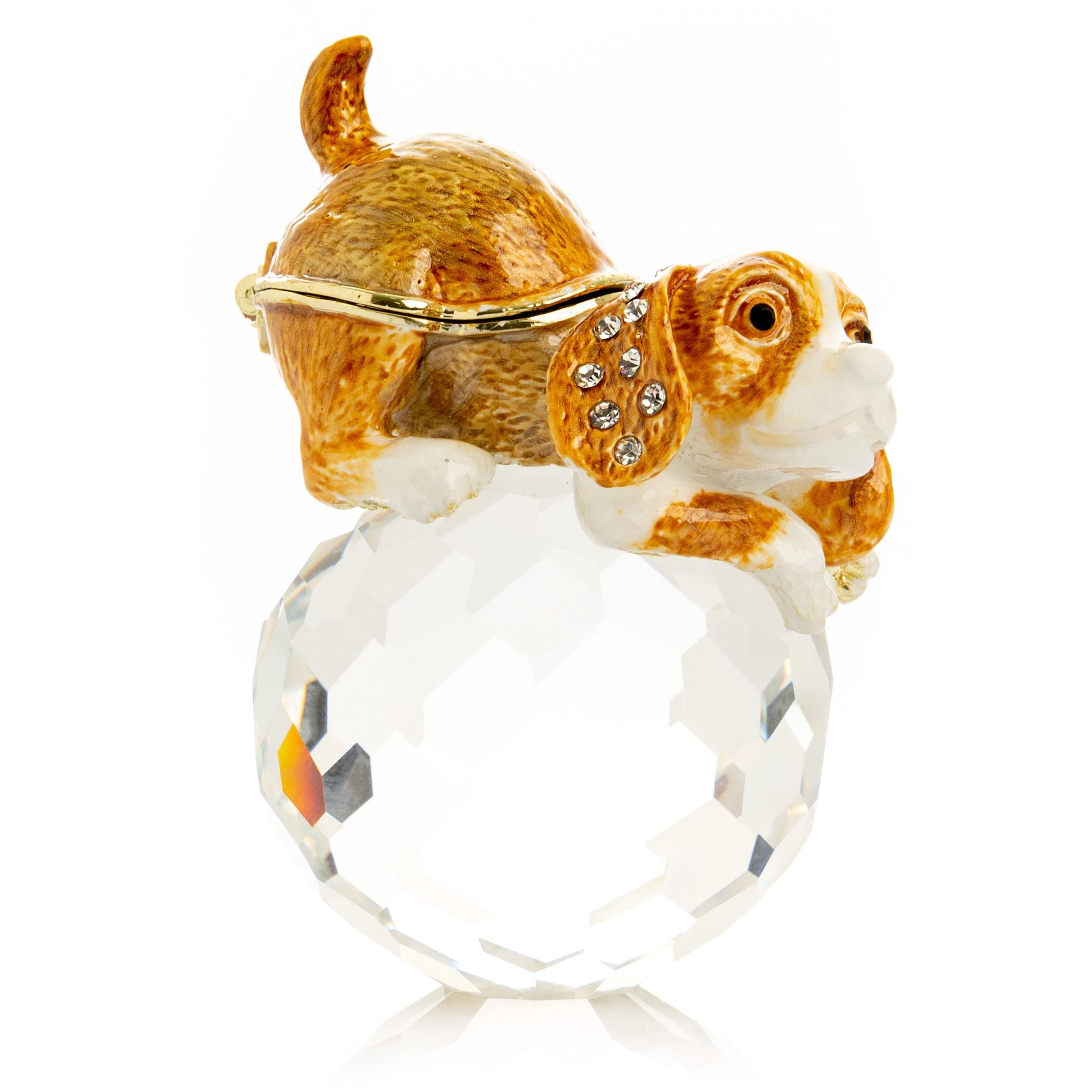 Brown Puppy on Crystal