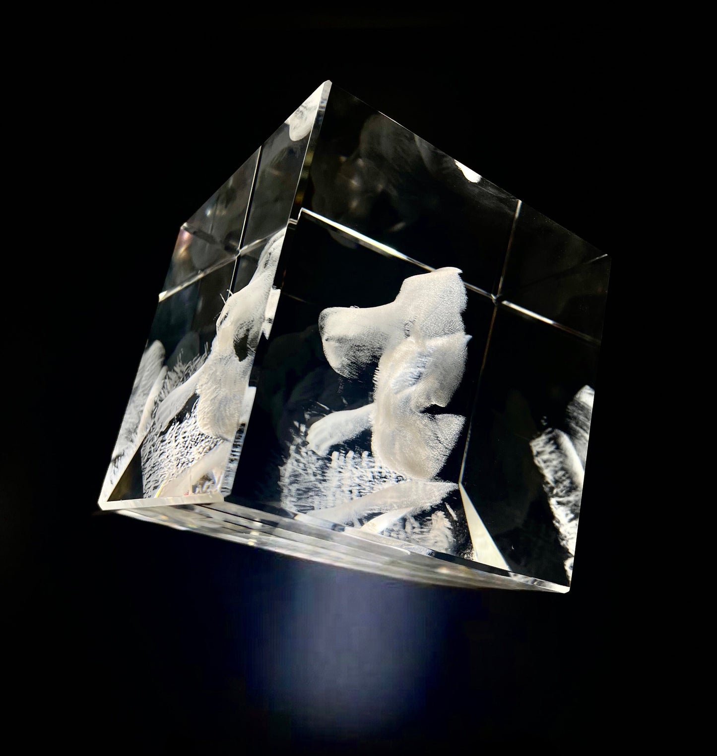 Large Diamond Crystal