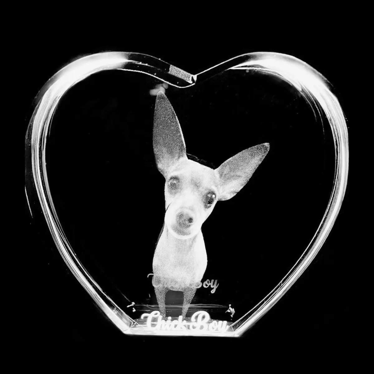 pet lover gift