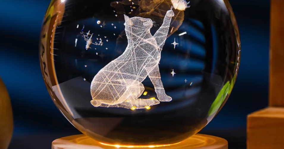 The Best Gifts For Cat Lovers | Top Gift Ideas For Pets