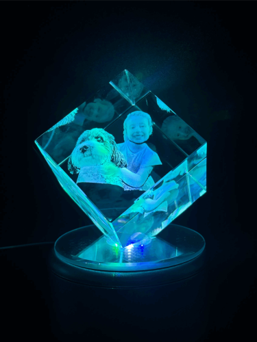 diamond_one_kid_one_dog